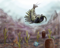 Cambrian fauna.