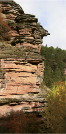 Triassic red sandstones