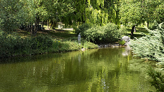 Alfonso XIII Royal Botanical Garden