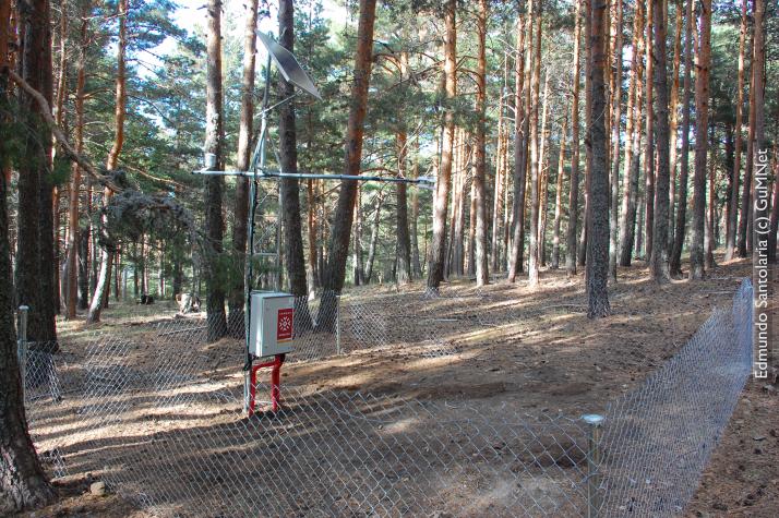 Weather monitoring station   EG009-Raso del Pino II (1.795 m.a.s.l.)