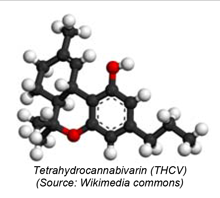 Tetrahydrocannabivarin (THCV)