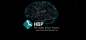 El Campus Moncloa es elegido para un estudio en profundidad del Proyecto Cerebro Humano (Human Brain Project, HBP)