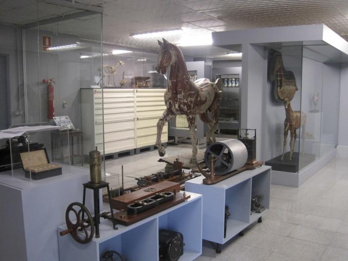 Veterinary Museum Complutense Photo 1