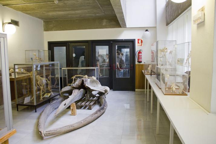 Museo de Anatomía Comparada de Vertebrados Fotografía 1