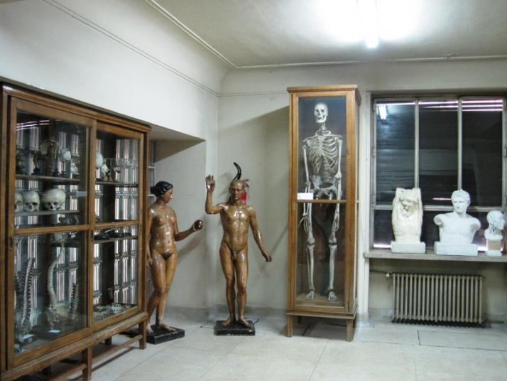 Museo de Anatomía «Javier Puerta» Fotografía 3