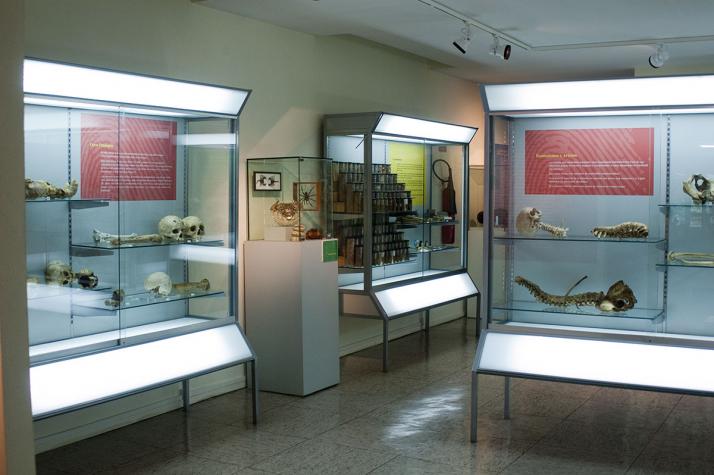 Museo de Antropología Médica y Forense, Paleopatología y Criminalística «Profesor Reverte Coma» Fotografía 1