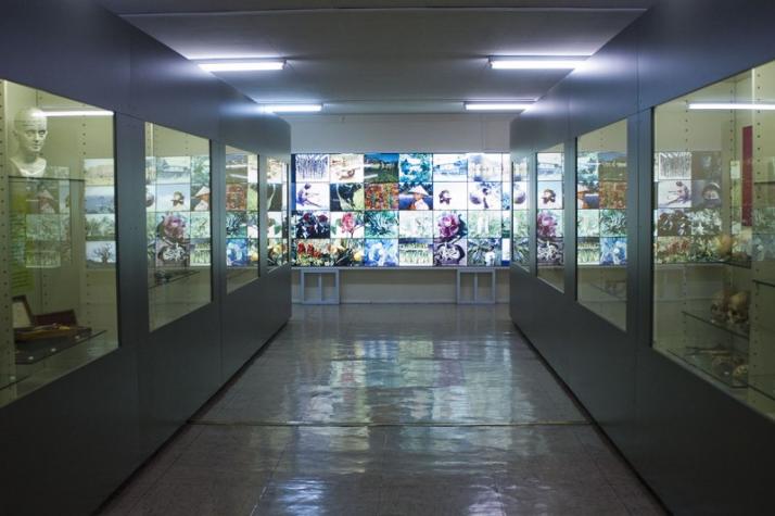 Museo de Antropología Médica y Forense, Paleopatología y Criminalística «Profesor Reverte Coma» Fotografía 6