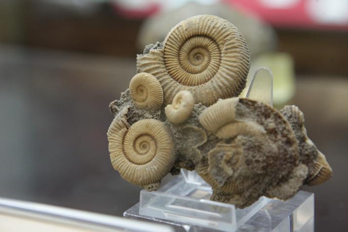 Museo histórico-minero 