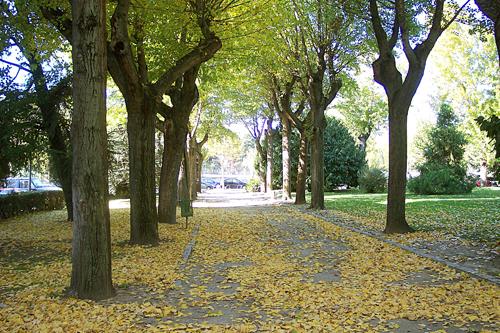 Plaza de la Facultad de Ciencias