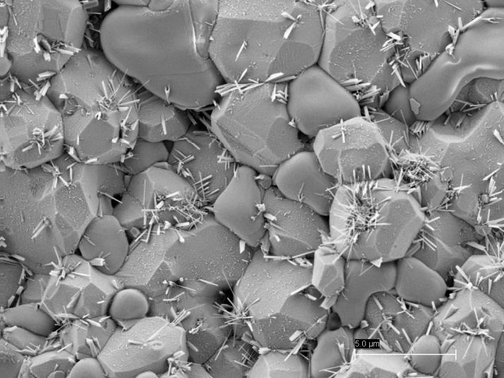 Imagen de un policristal de wolframio tomada con el nuevo FE-SEM a 10.000 aumentos