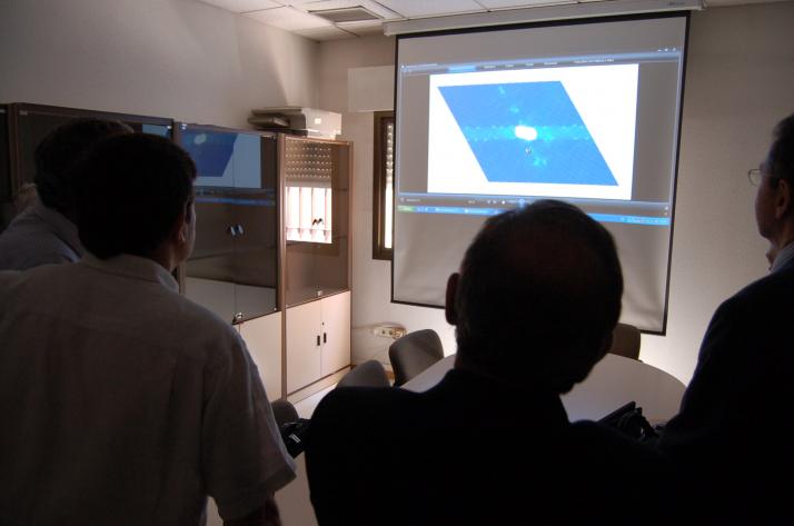 Detalle de los resultados del microscopio del ICTS Centro Nacional de Microscopía