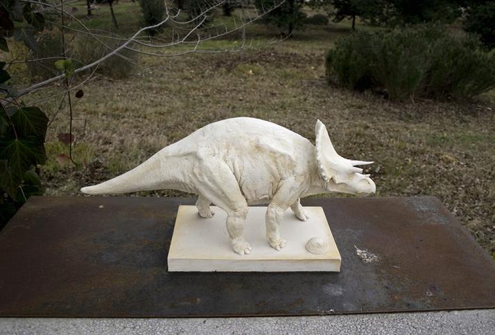 bio-geological clock