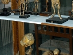 Museo de Anatomía «Javier Puerta» Fotografía 2
