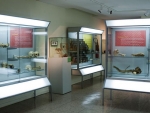 Museo de Antropología Médica y Forense, Paleopatología y Criminalística «Profesor Reverte Coma» Fotografía 1