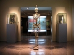 Museo de Antropología Médica y Forense, Paleopatología y Criminalística «Profesor Reverte Coma» UCM
