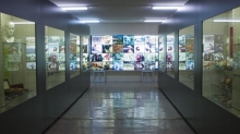 Museum of Medical and Forensic Anthropology, Paleopathology and Forensic «Profesor Reverte Coma» Photo 6